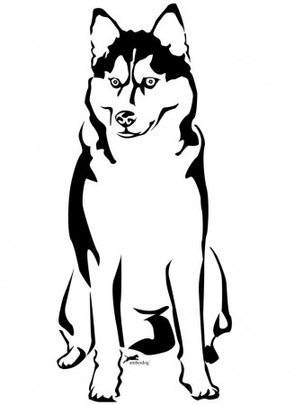 Husky Coloring Page