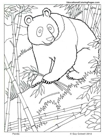 Mammals Book Four Coloring Pages | Animal Coloring Pages for Kids