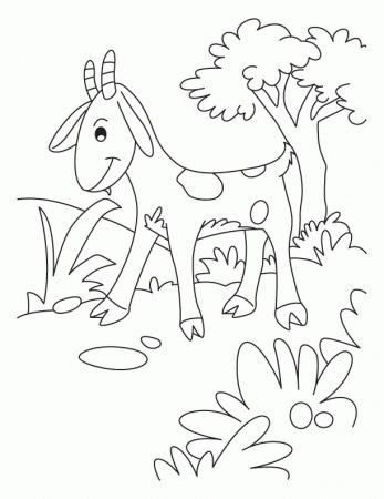 Blushing goat coloring pages | Download Free Blushing goat 