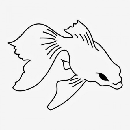 Catfish Stencil