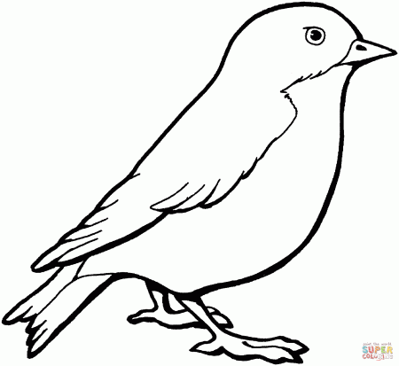 Sparrow coloring page | Free Printable Coloring Pages