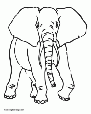Elephant - Elephant coloring book pages