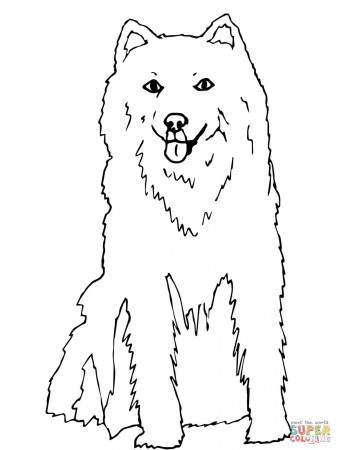 Siberian Husky Dog coloring page | Free Printable Coloring Pages
