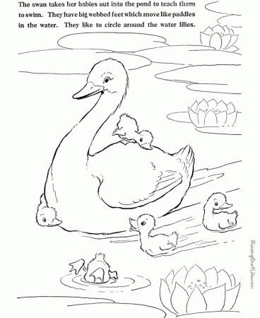 Swan coloring pages to print and color 014