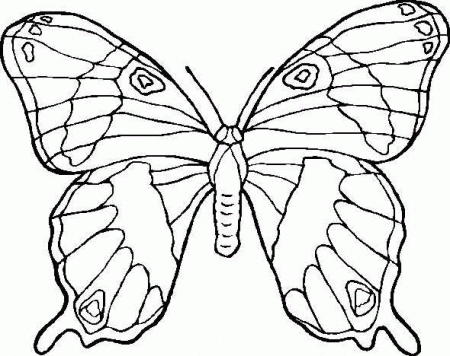 Kids-n-fun.com | 56 coloring pages of Butterflies