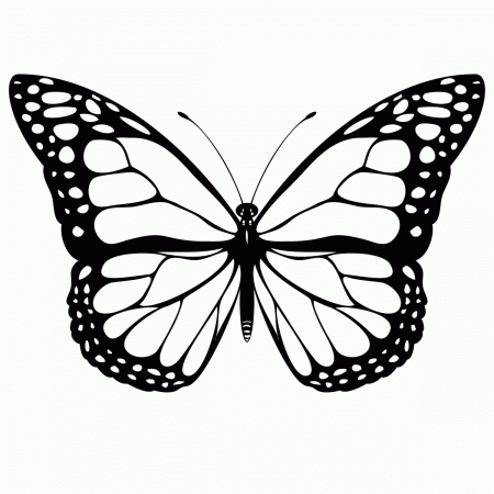 Free Butterfly Coloring Pages Printable | Free Coloring Pages