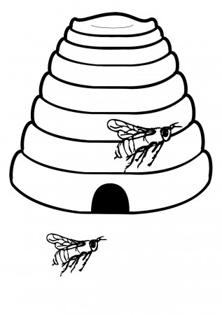 Bee Coloring Pages - Download now for free