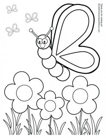 Coloring Books : Butterfly Life Cycle Coloring Page Volleyball ...