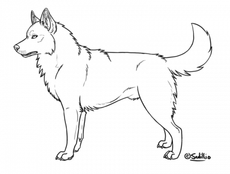 12 Pics of Siberian Husky Dog Coloring Pages - Husky Coloring ...