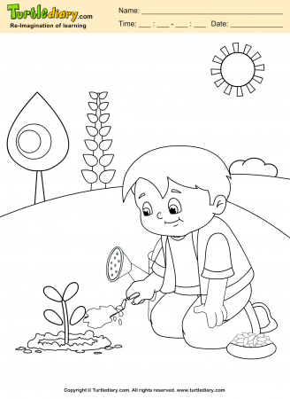 Grow Plant Coloring Page ...