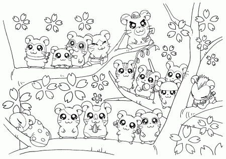 Cute Coloring Pages Girls Az Animal Hamster High Quality