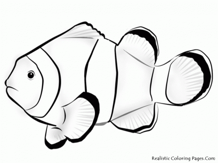 Nemo Fish Coloring Pages | Realistic Coloring Pages