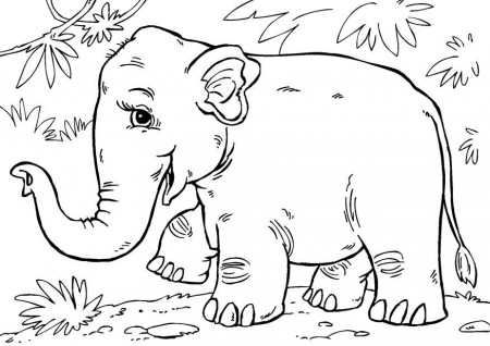 Coloring page Asian elephant - img 27854.