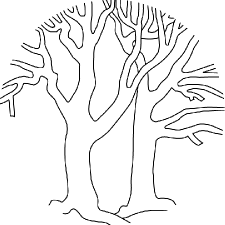Bare Trees Picture - Bare Trees Coloring Page