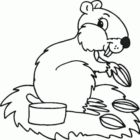 winter animals coloring pages – 660×880 Coloring picture animal 