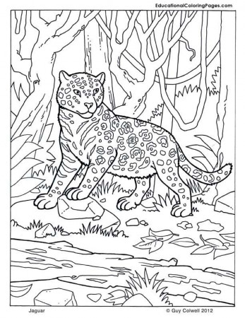 Jaguar coloring | Dessins