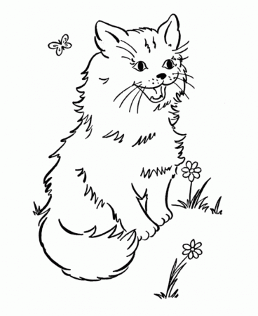 Cute cat Colouring Pages
