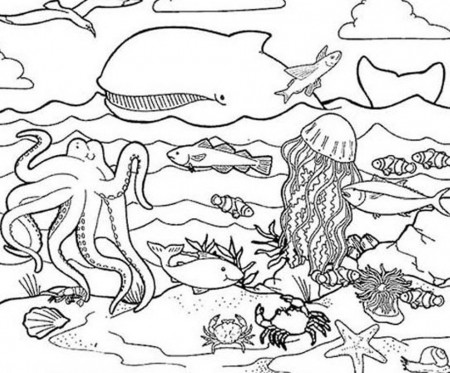under the sea drawing Colouring Pages (page 3)