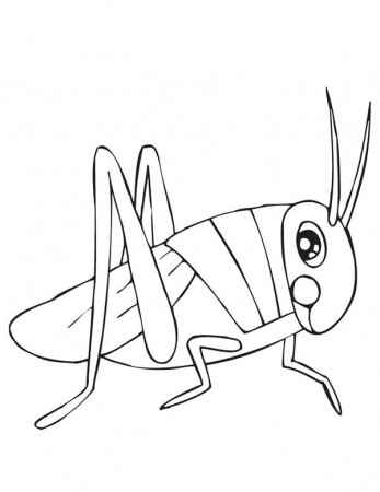 Grasshopper With Big Eye Coloring Page : Kids Play Color