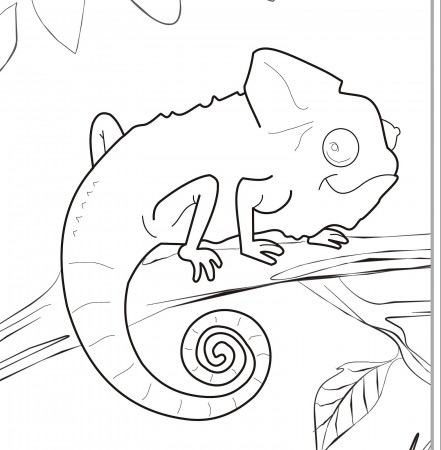 Chameleon Coloring Pages - GetColoringPages.com