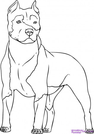 Coloring Pages Of a Pitbull