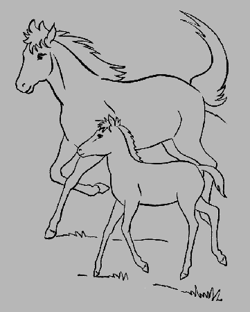 The Mother Horses And Foals Coloring Pages - Horse Coloring Pages 