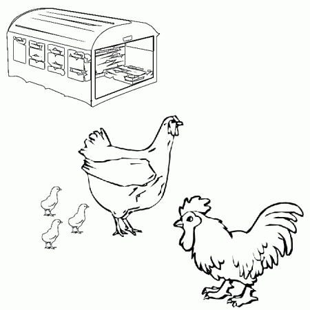 Hen coloring pages