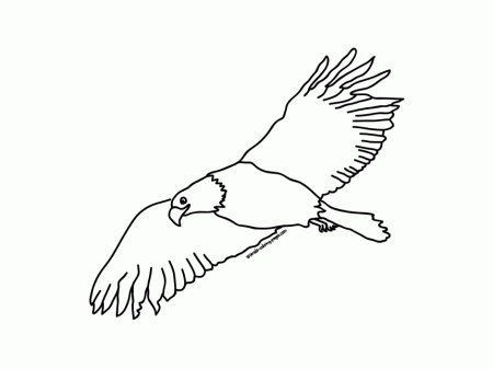 Download Bird Coloring Pages Flying Falcon Or Print Bird Coloring 