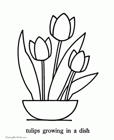 Tulips Coloring Pages 245 | Free Printable Coloring Pages