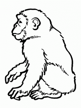 Chimpanzee Coloring Page For Kids | 99coloring.com