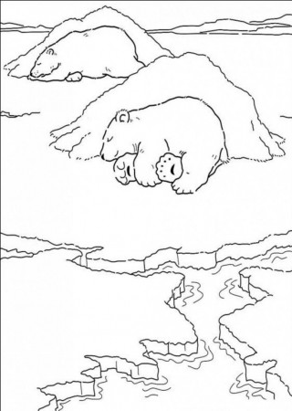Animals: Polar Bear Coloring Pages Free Printable Of Polar Bears 