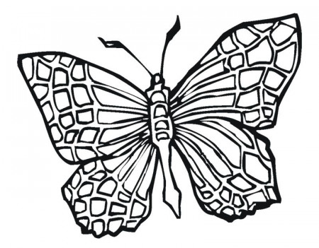 Butterfly Coloring Pages : Butterfly Tattoo Coloring Page Kids 