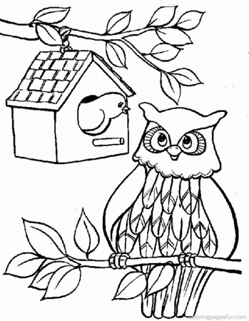 Owls Coloring Pages 7 | Free Printable Coloring Pages 
