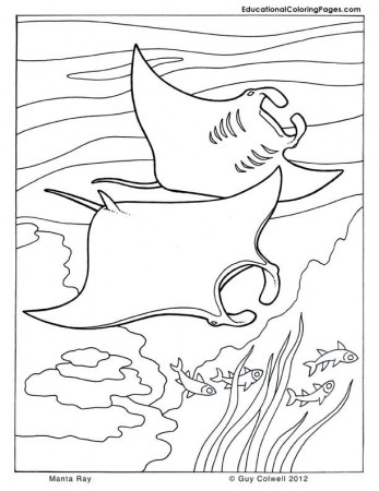 sea animals coloring | Animal Coloring Pages for Kids