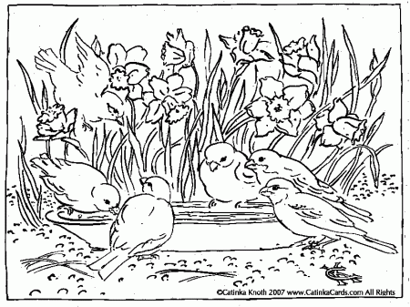 spring scenery Colouring Pages