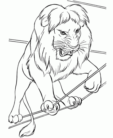 Circus Animal Coloring Pages 450 | Free Printable Coloring Pages