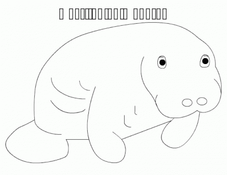 Manatee Coloring Page (17 Pictures) - Colorine.net | 2122