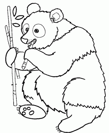 Wild Animal Coloring Pages | Panda bear eating bamboo Coloring ...