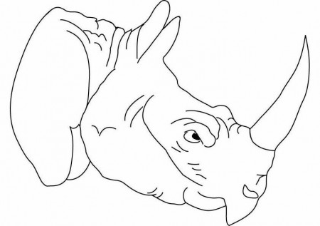 Rhino coloring pages online