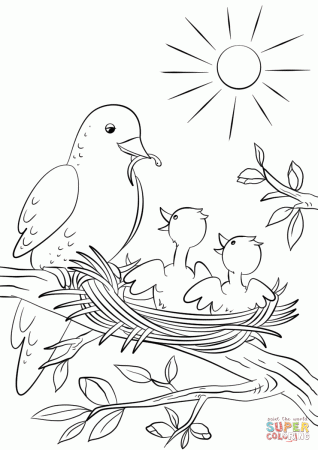 Mother Bird Feeding Chicks coloring page | Free Printable Coloring Pages