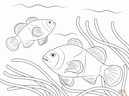 Clownfish coloring pages | Free Coloring Pages