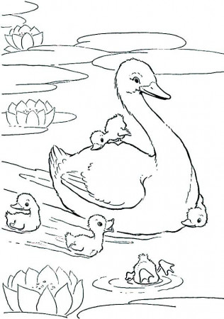 Swans Mother and Her Babies Coloring Pages : Batch Coloring