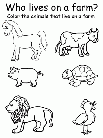 Colour In Farm Animals - Coloring Pages for Kids and for Adults