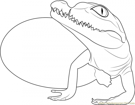 Baby Crocodile Coloring Pages - Coloring Page