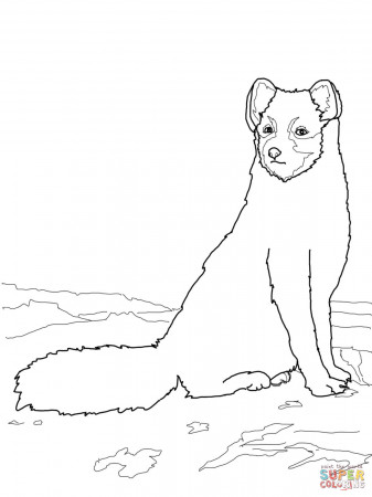 Sitting Arctic Fox coloring page | Free Printable Coloring Pages