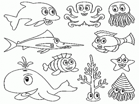 Water Animals - Coloring Pages for Kids and for Adults