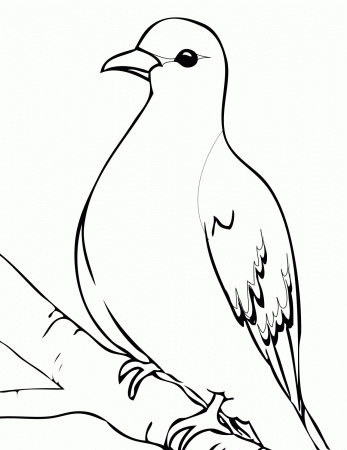Mourning Dove Coloring Page - Handipoints
