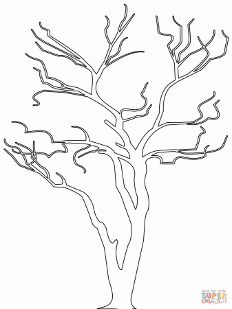 Best Photos of Bare Tree Coloring Sheet - Bare Tree Coloring Page ...