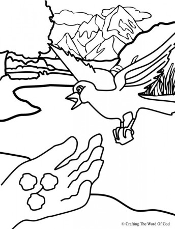 Elijah Fed By Ravens- Coloring Page « Crafting The Word Of God