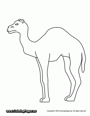 Young Camels Coloring Pages | Coloring.Cosplaypic.com